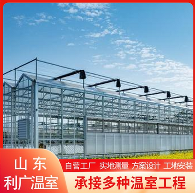 文洛式连栋玻璃温室搭建指南 智能造价、工程设计与蔬菜种植预算全解析