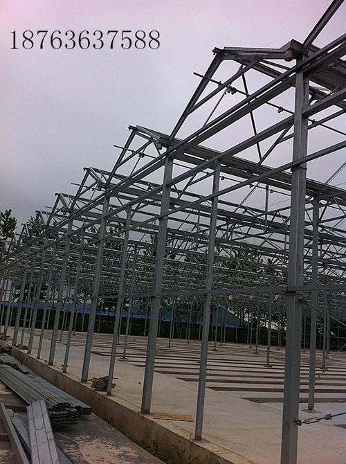 阳光温室工程全指南 从设计建造到批发采购的实用百科