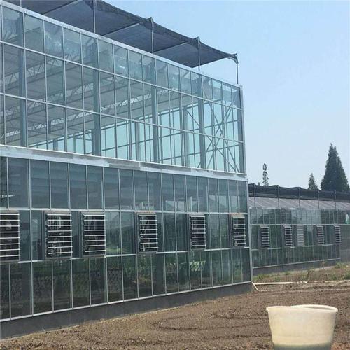 玻璃温室大棚承建与工程设计全解析 从方案到落地的专业指南