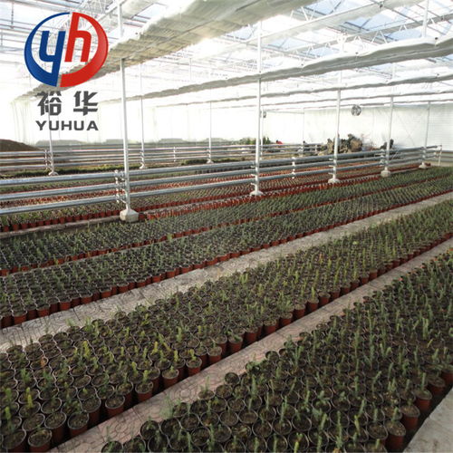 养殖业加热保温技术及温室工程设计方案全解析