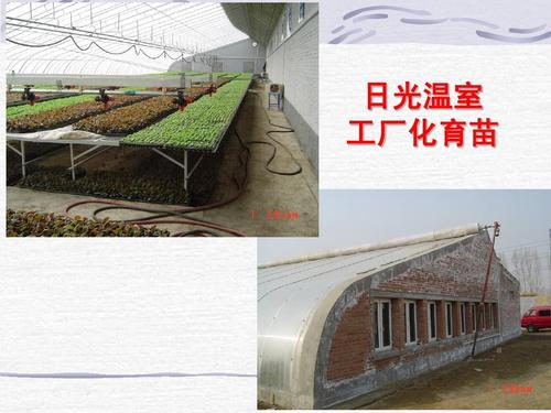 日光温室工厂化育苗的温室工程设计要点
